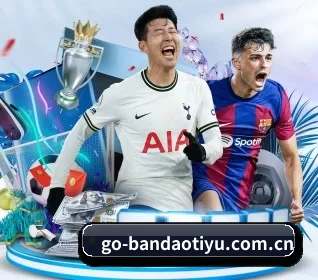 半岛体育 APP 界面 | Bandao
